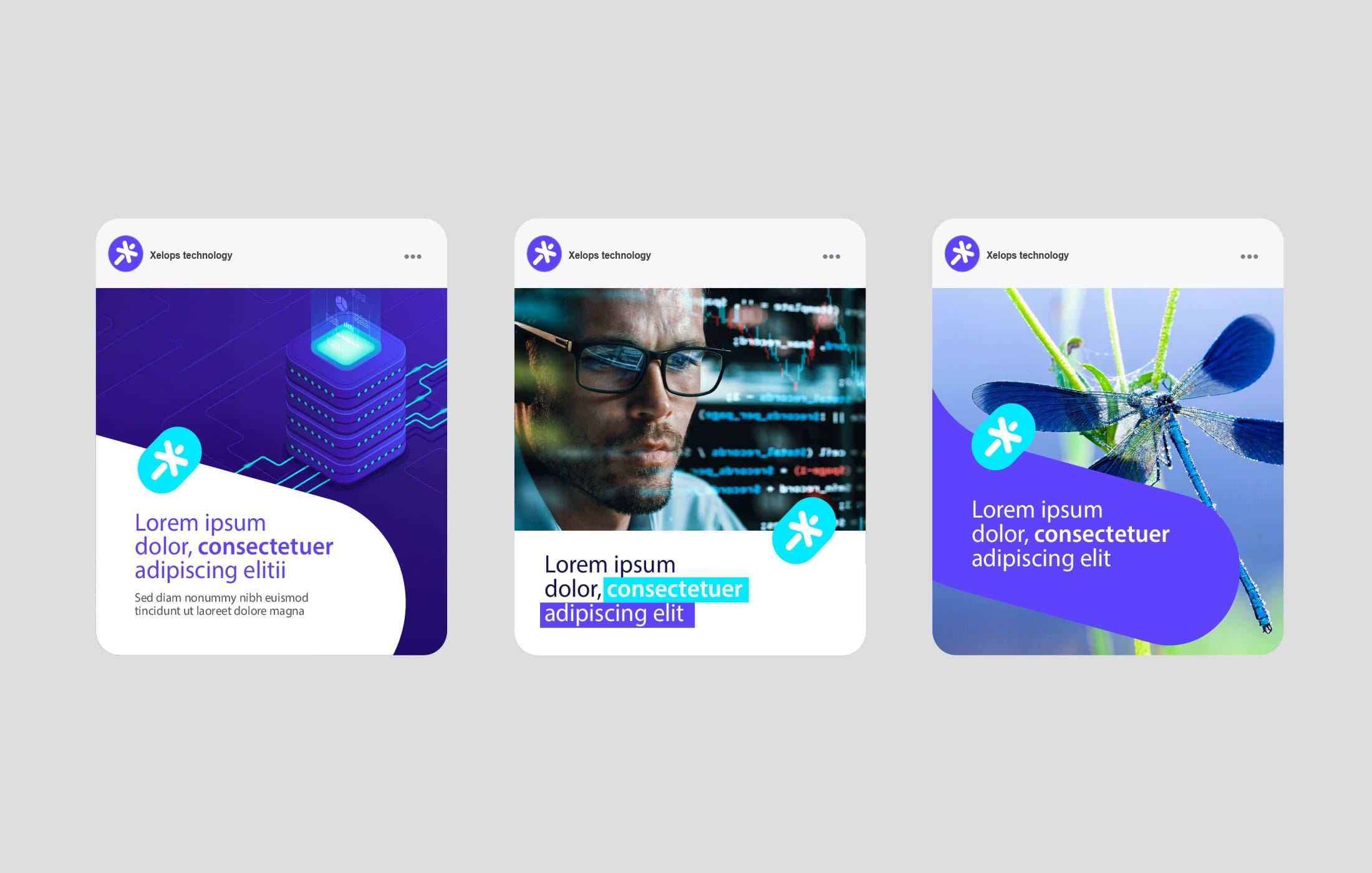 Stratégie de Rebranding est Essentielle dans un Secteur des Entreprises de Services du Numérique comme Xelops technology