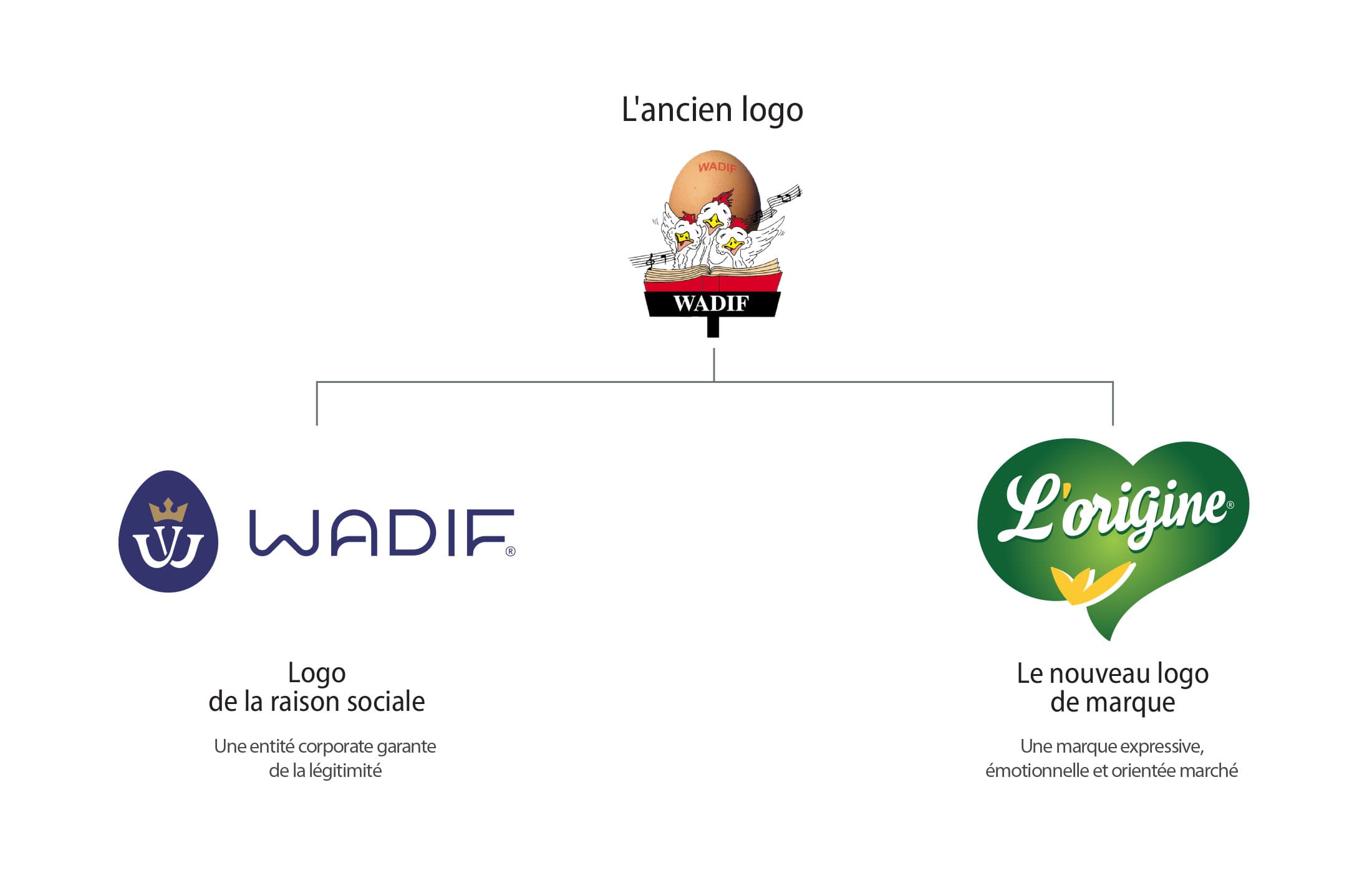 architecture-de-marque-de-WADIF Architecture de marque WADIF et L’ORIGINE Nouvelle architecture de marque agroalimentaire