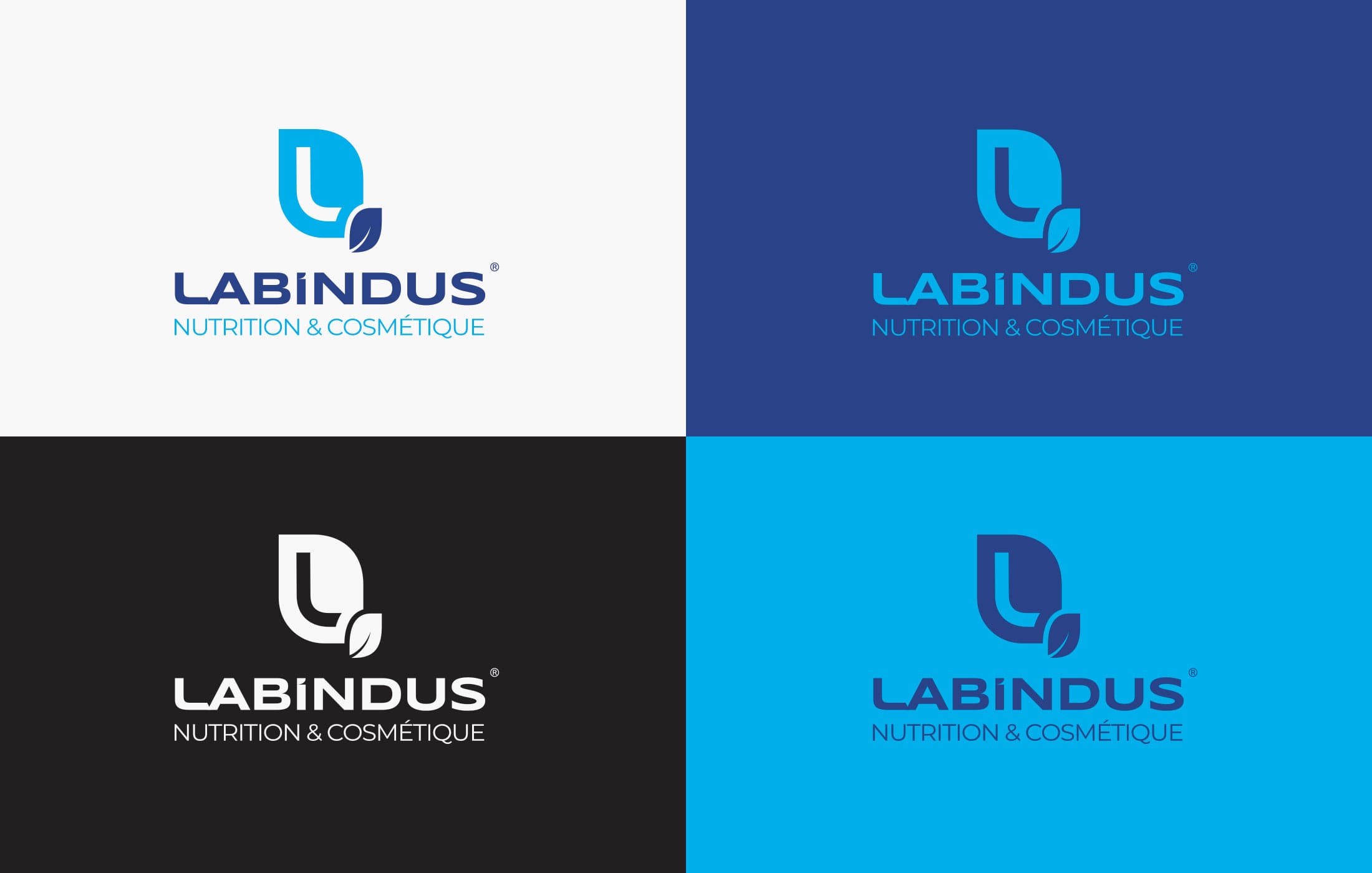 Labindus-A-05