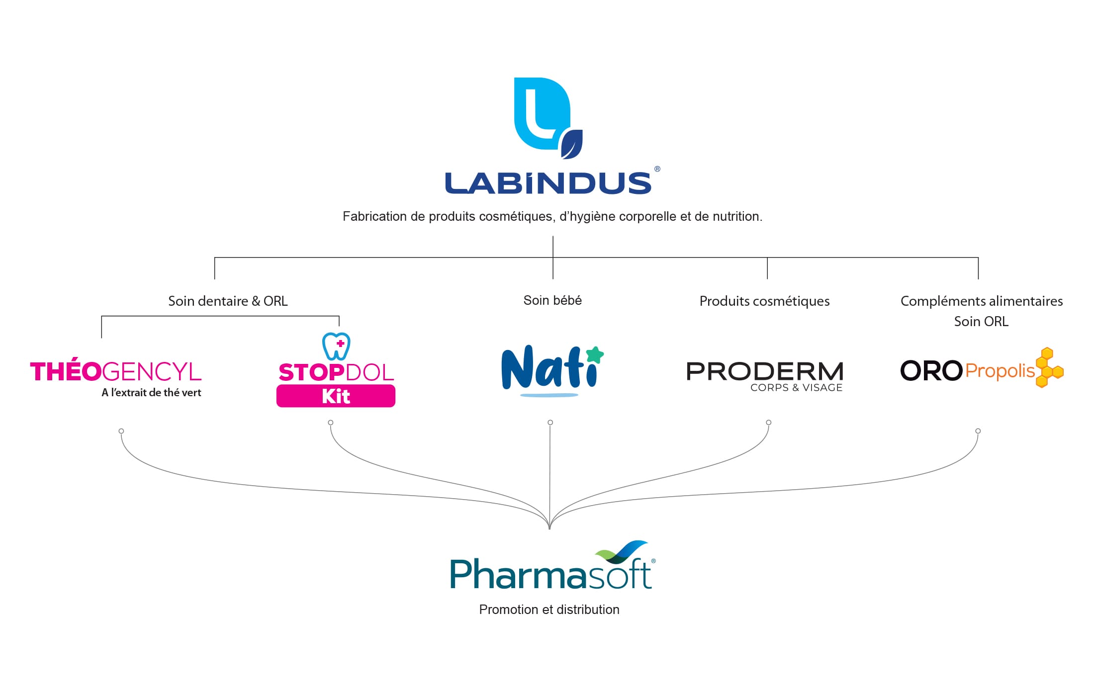 architecture-de-marque-labindus Architecture de marque du rebranding laboratoire LABINDUS par zonidra agence de communication au Maroc