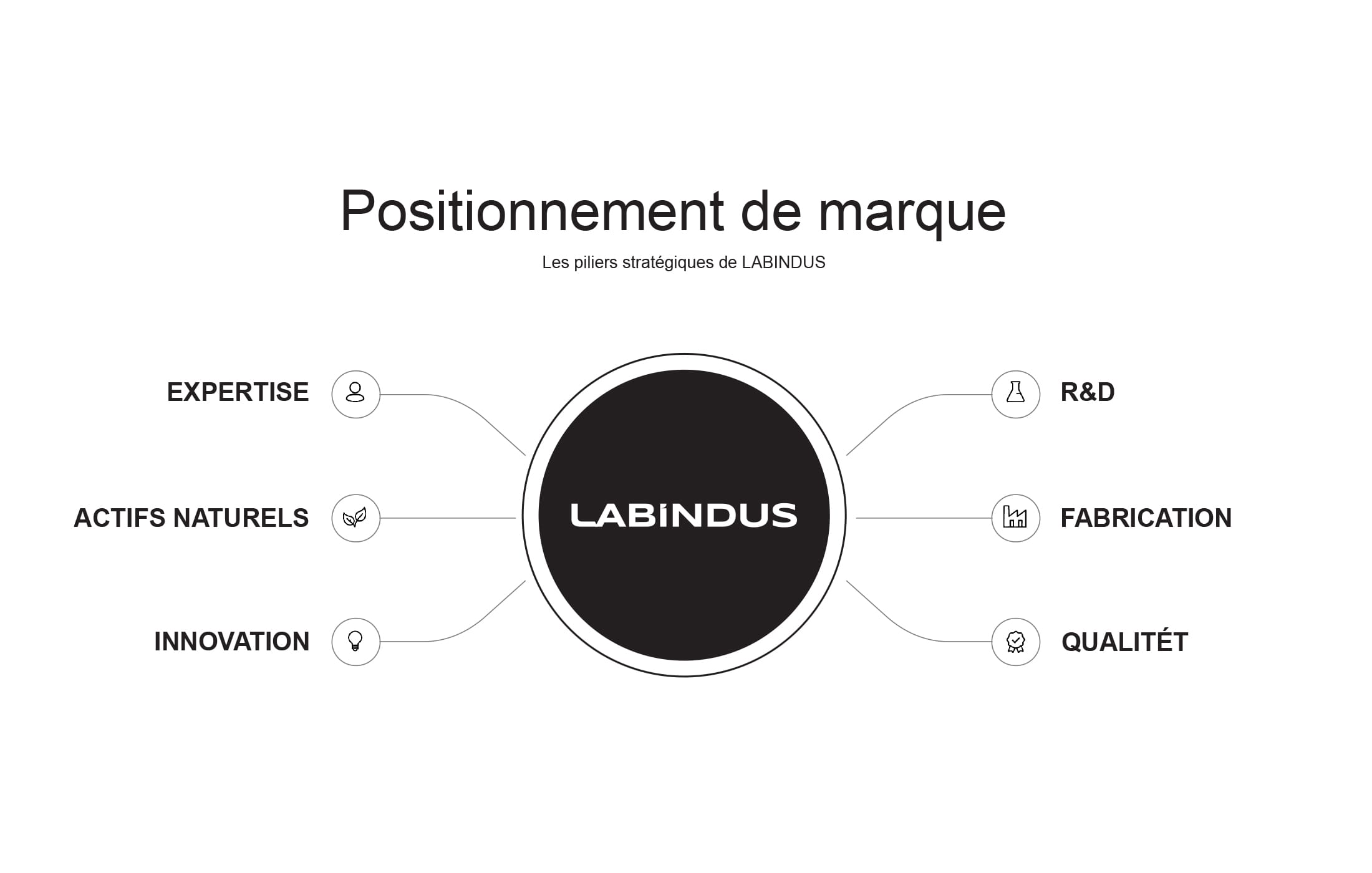 Les-piliers-stratégiques-de-LABINDUS-