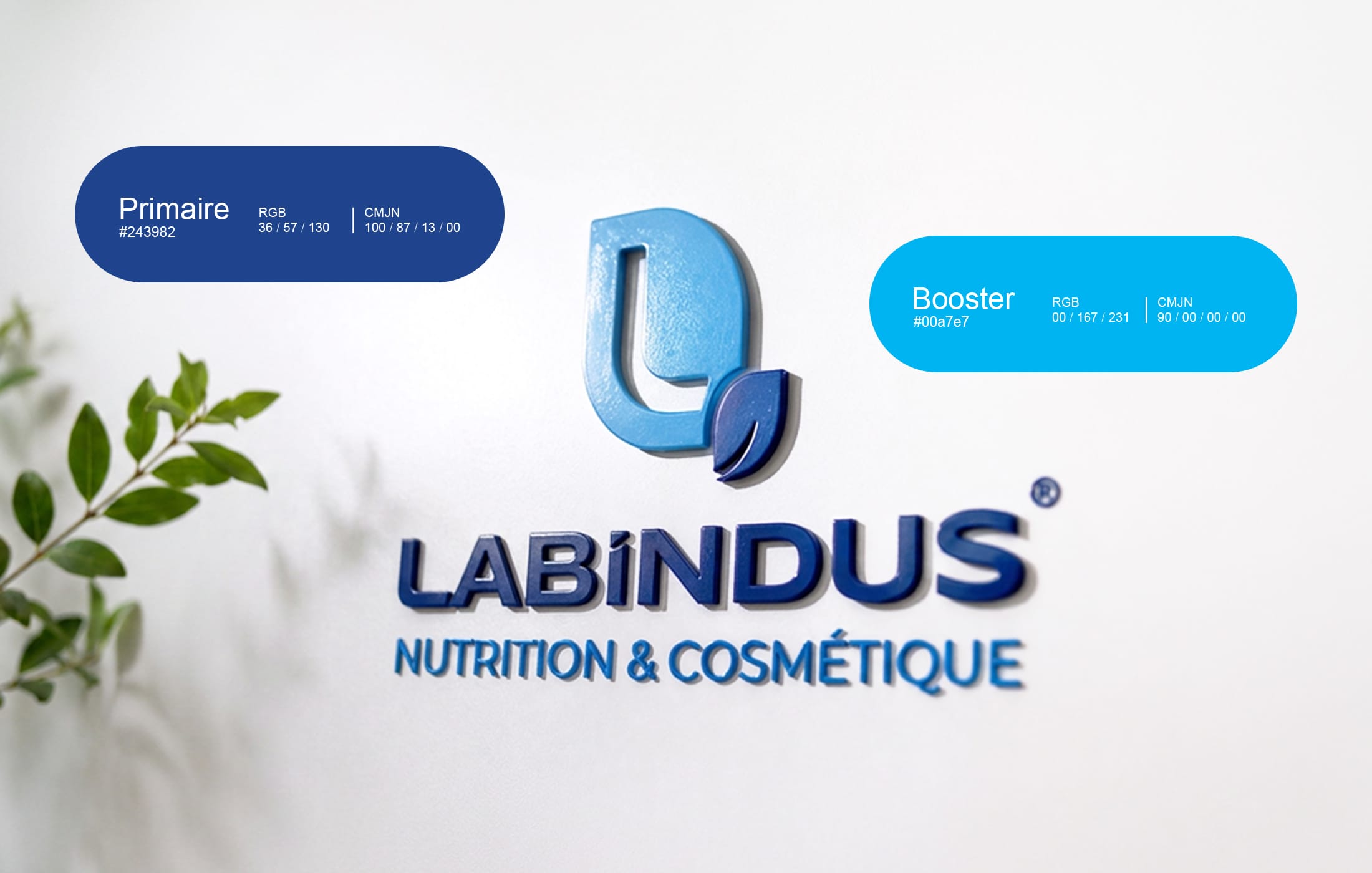 Palette-labindus-01